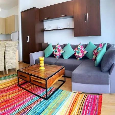 Long Term Business * Kluž